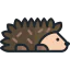 Hedgehog icon 64x64