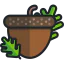 Acorn icon 64x64