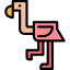Flamingo іконка 64x64