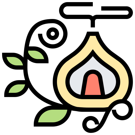 Aromatherapy icon