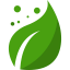 Leaf icon 64x64