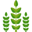 Crops アイコン 64x64