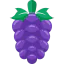 Grapes icon 64x64