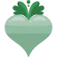 Radish icon 64x64
