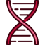 Dna structure icon 64x64