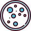 Petri dish icon 64x64