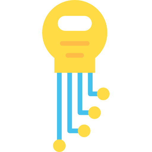 Key icon