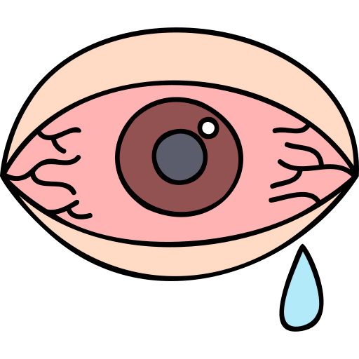Conjunctivitis icon