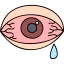 Conjunctivitis іконка 64x64