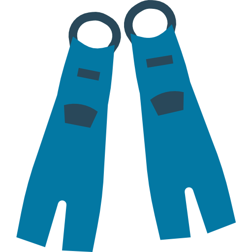 Flippers icon