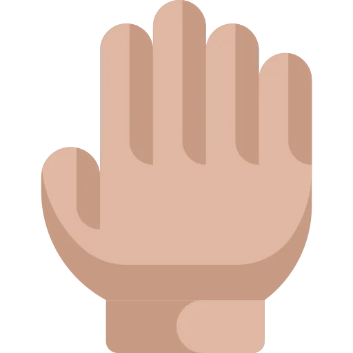 Gloves icon