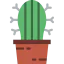 Cactus icon 64x64