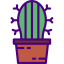 Cactus icon 64x64