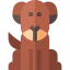 Dog icon 64x64