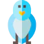 Bird icon 64x64
