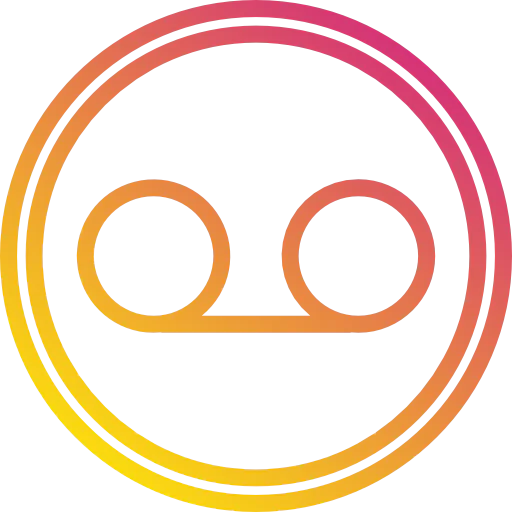 Record icon