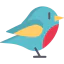 Robin icon 64x64
