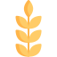 Wheat icon 64x64