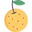 Orange icon 64x64