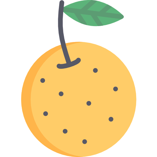 Orange icon