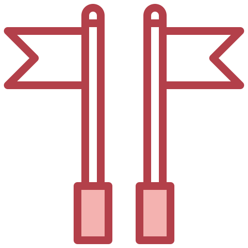 Flags icon