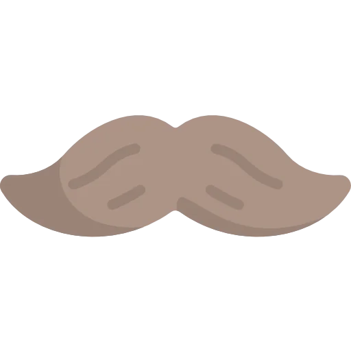 Moustaches icon