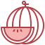 Watermelon icon 64x64