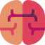 Brain icon 64x64