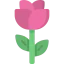 Rose icon 64x64