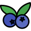Blueberry icon 64x64