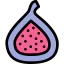Fig icon 64x64