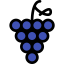 Grapes icon 64x64