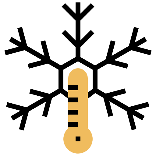Temperature icon