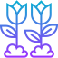 Spring icon 64x64