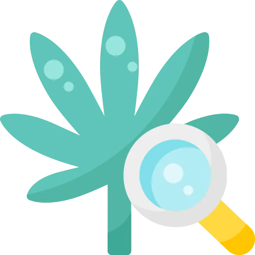 Research icon