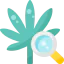 Research icon 64x64