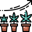 Growing plant icône 64x64