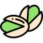 Pistachio icon 64x64