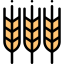 Wheat icon 64x64