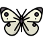 Butterfly icon 64x64