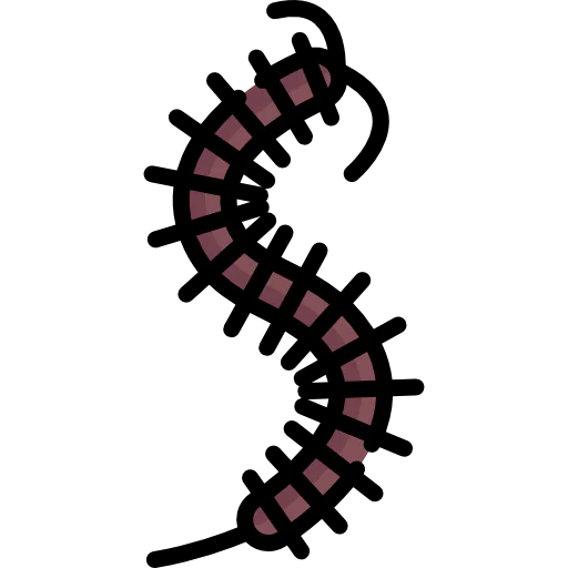 Worm icon