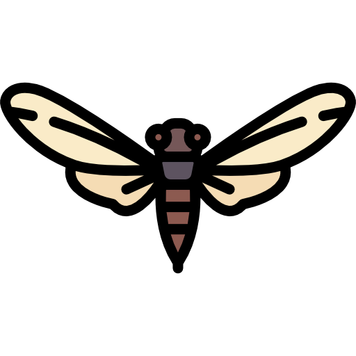 Bug icon