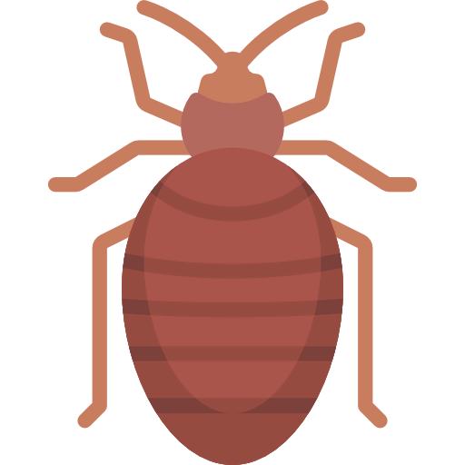 Bedbug icon