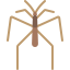 Spider icon 64x64