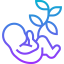 Embryo icon 64x64