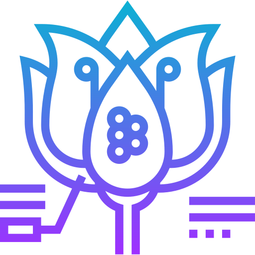Ovule icon