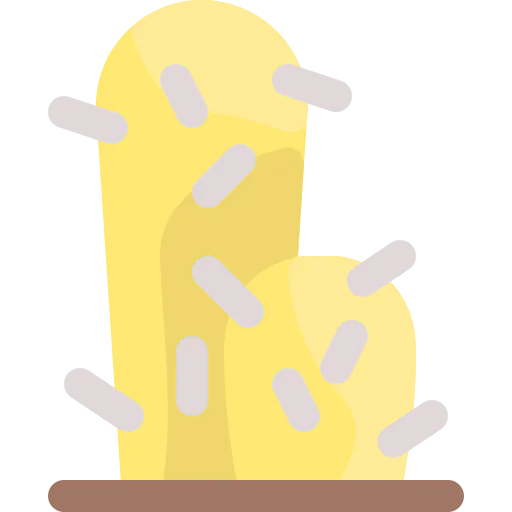 Cactus icon