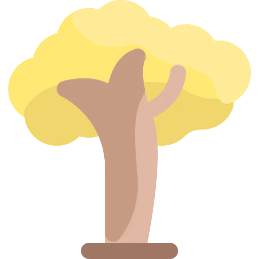 Jacaranda icon