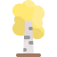 Birch tree icon 64x64