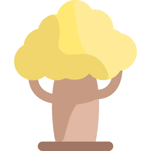 Baobab icon